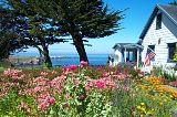 Spring.jpg image by nour2006