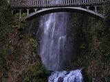 multnomah.jpg image by kyderbyteller